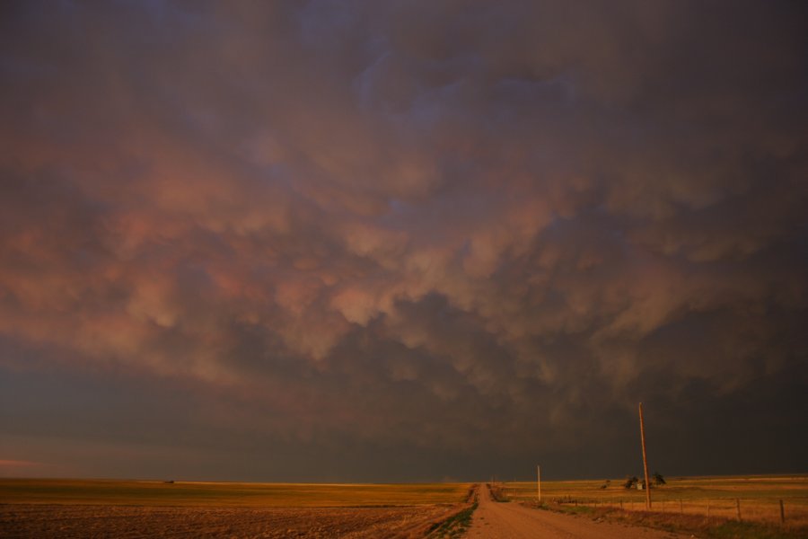 mammatus mammatus_cloud : Kit Carson, Colorado, USA   5 June 2006