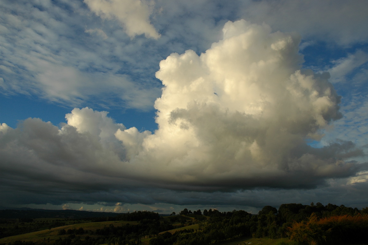 altocumulus altocumulus_cloud : McLeans Ridges, NSW   7 June 2006