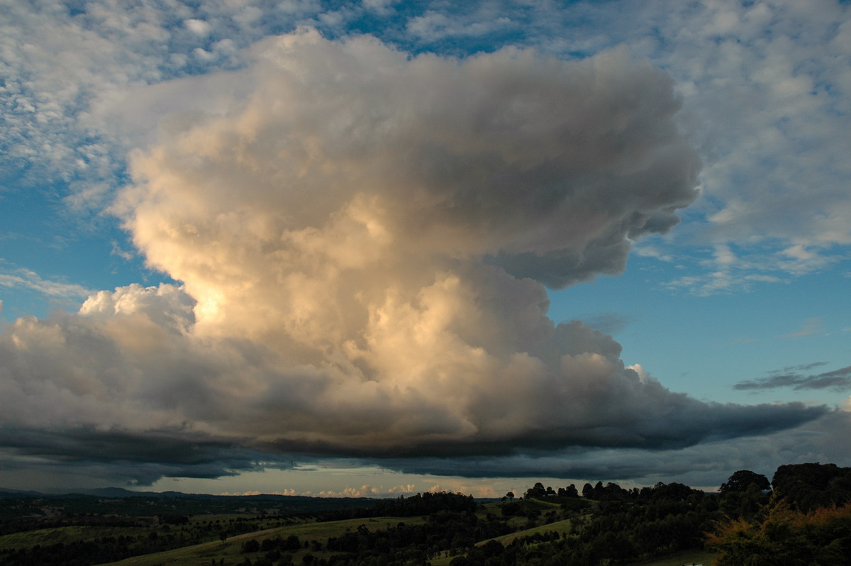 cumulus congestus : McLeans Ridges, NSW   7 June 2006