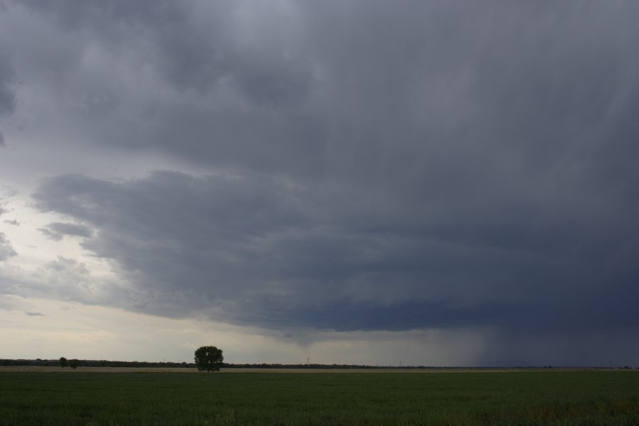 cumulonimbus thunderstorm_base : Scottsbluff, Nebraska, USA   10 June 2006