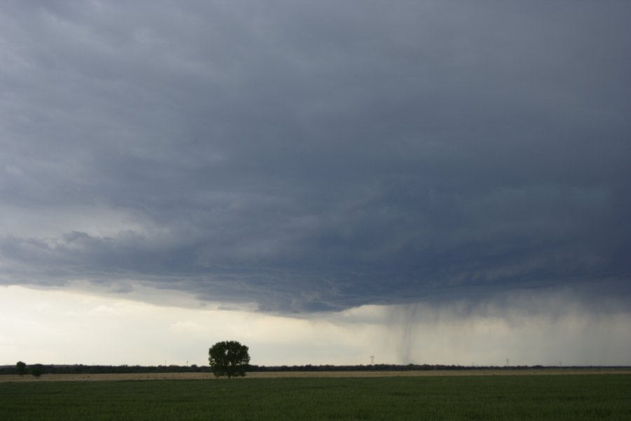 cumulonimbus thunderstorm_base : Scottsbluff, Nebraska, USA   10 June 2006