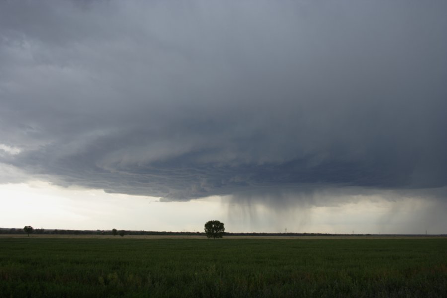 cumulonimbus thunderstorm_base : Scottsbluff, Nebraska, USA   10 June 2006