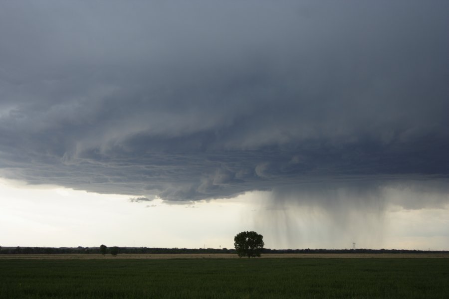 cumulonimbus supercell_thunderstorm : Scottsbluff, Nebraska, USA   10 June 2006