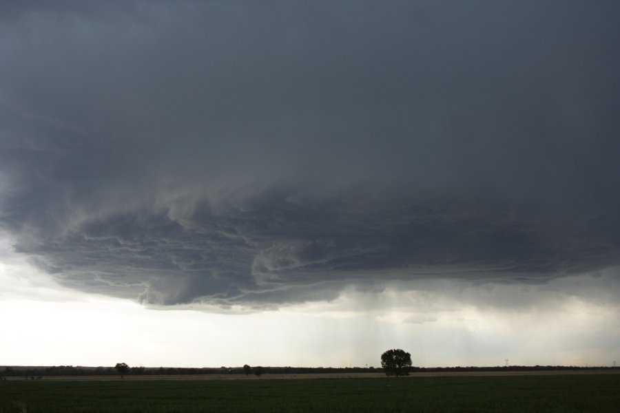 cumulonimbus thunderstorm_base : Scottsbluff, Nebraska, USA   10 June 2006