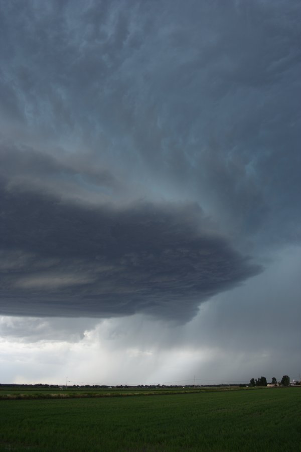 cumulonimbus thunderstorm_base : Scottsbluff, Nebraska, USA   10 June 2006