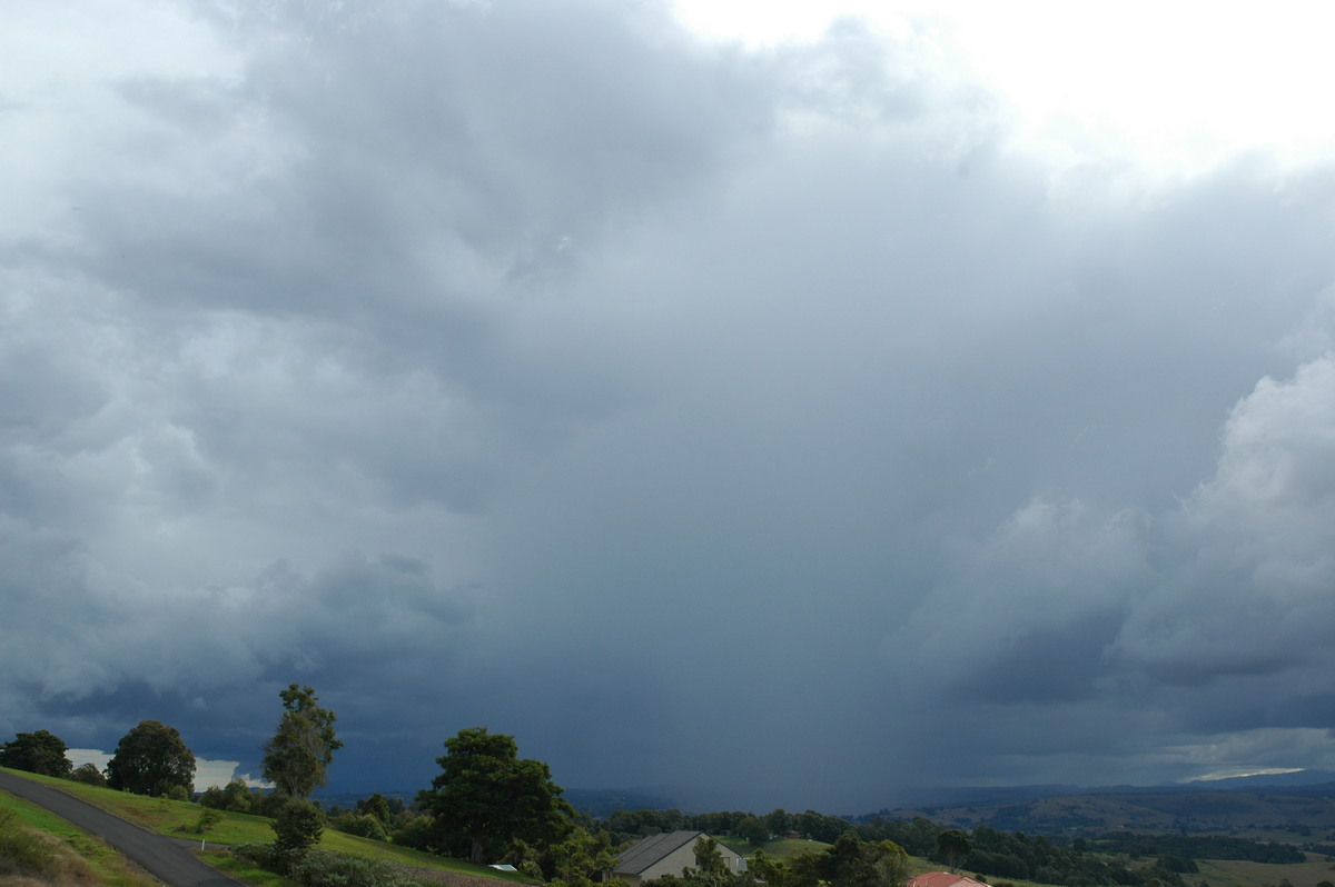 raincascade precipitation_cascade : McLeans Ridges, NSW   24 June 2006