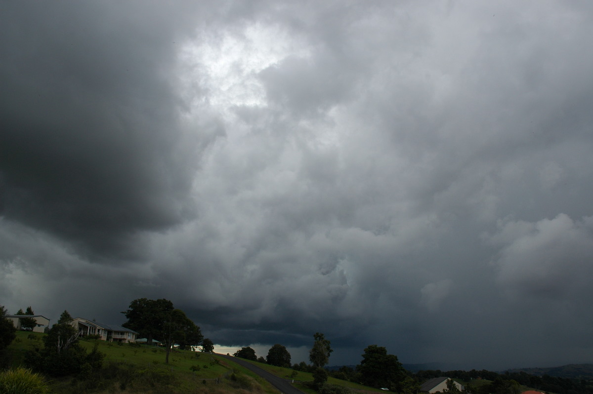 cumulonimbus thunderstorm_base : McLeans Ridges, NSW   24 June 2006