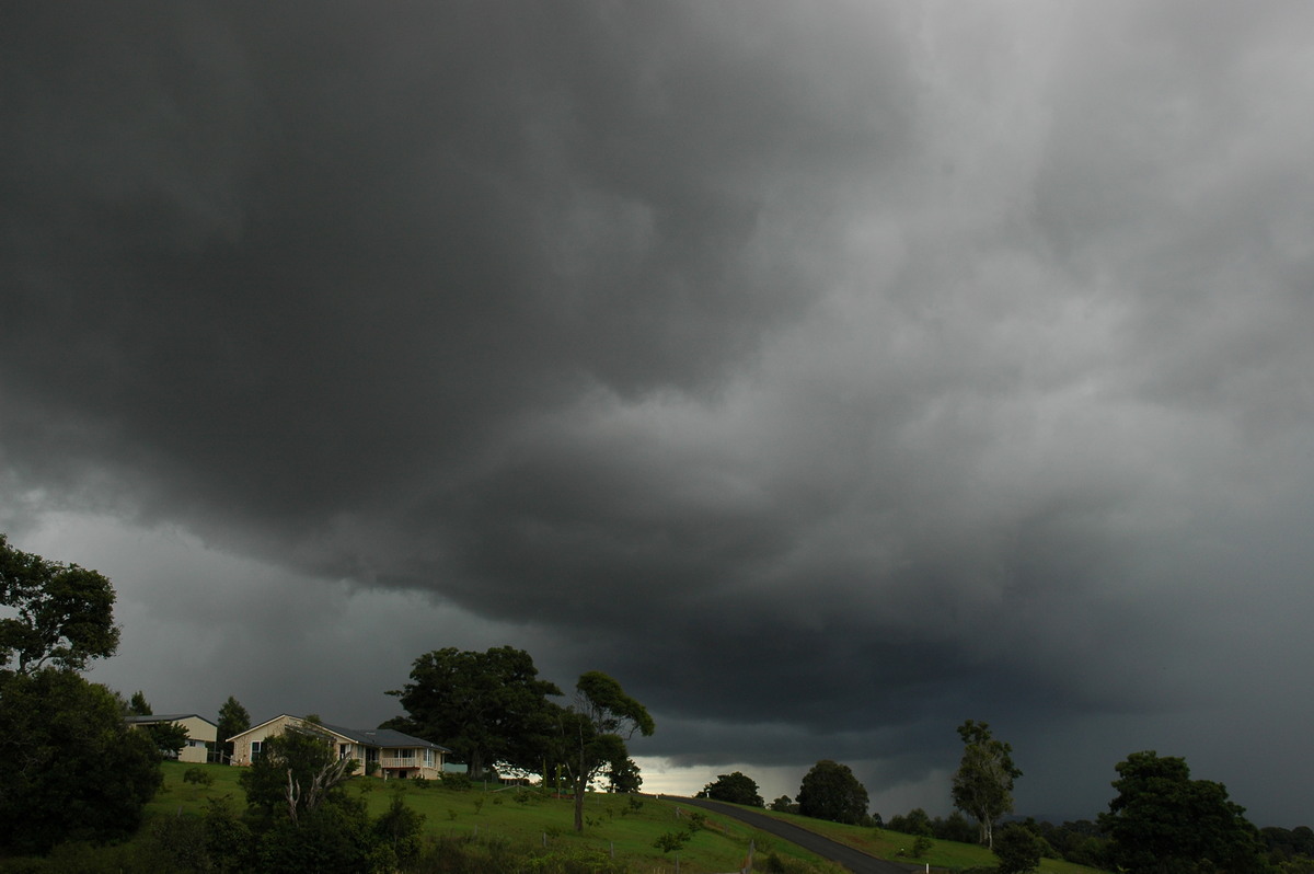 cumulonimbus thunderstorm_base : McLeans Ridges, NSW   24 June 2006