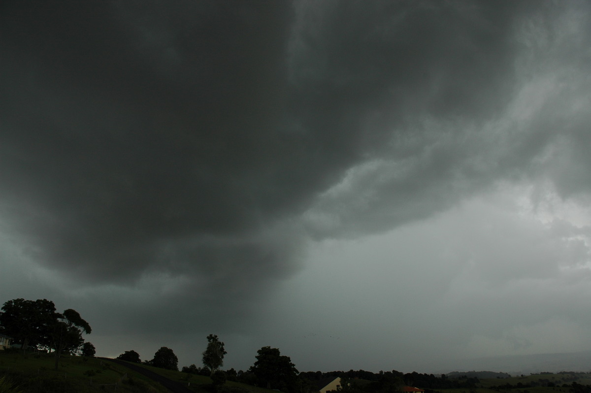 cumulonimbus thunderstorm_base : McLeans Ridges, NSW   24 June 2006