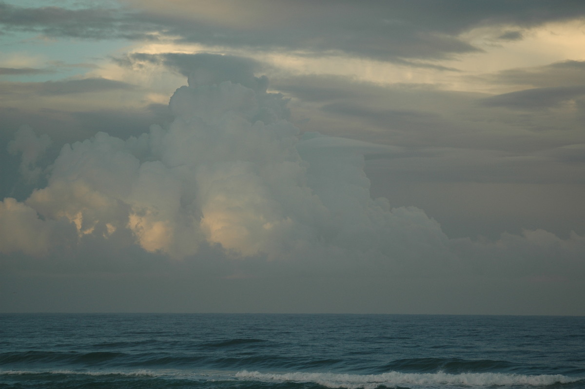 cumulus mediocris : Lennox Head, NSW   24 June 2006