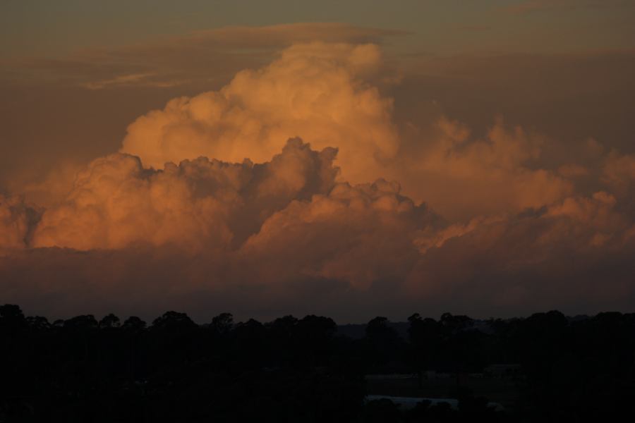 cumulus mediocris : Schofields, NSW   25 June 2006