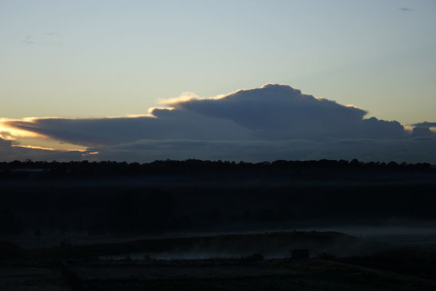 fogmist fog_mist_frost : Schofields, NSW   26 June 2006