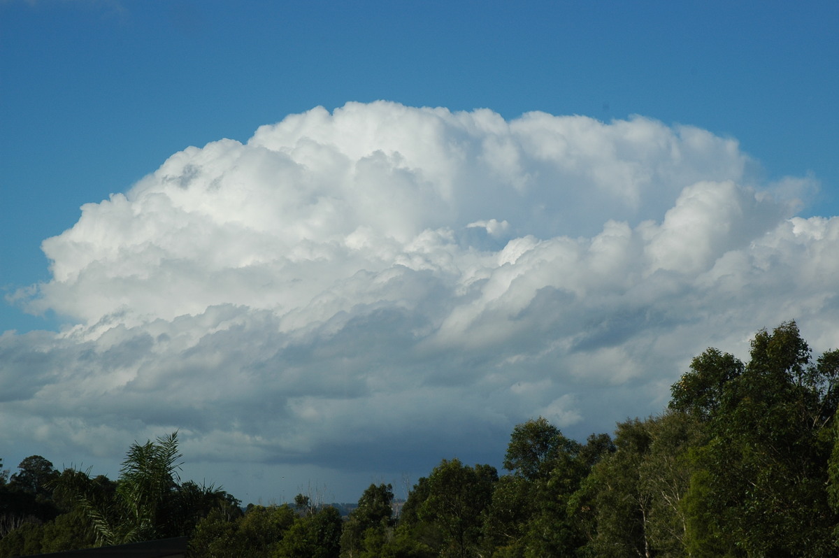 thunderstorm cumulonimbus_calvus : McLeans Ridges, NSW   26 June 2006