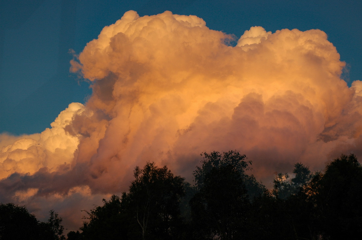 cumulus congestus : McLeans Ridges, NSW   26 June 2006