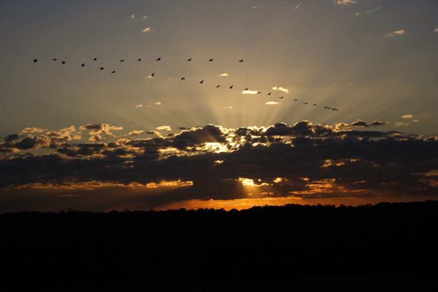 halosundog halo_sundog_crepuscular_rays : Schofields, NSW   18 August 2006