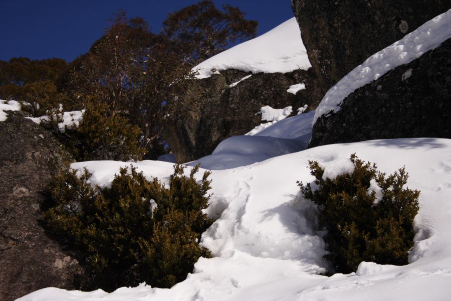 snow snow_pictures : Perisher Valley, NSW   20 August 2006