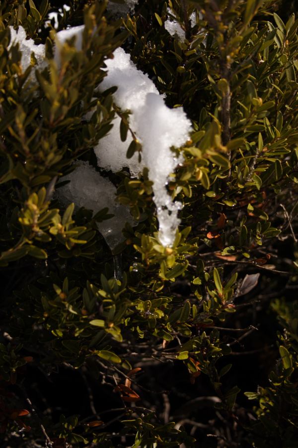 snow snow_pictures : Perisher Valley, NSW   20 August 2006