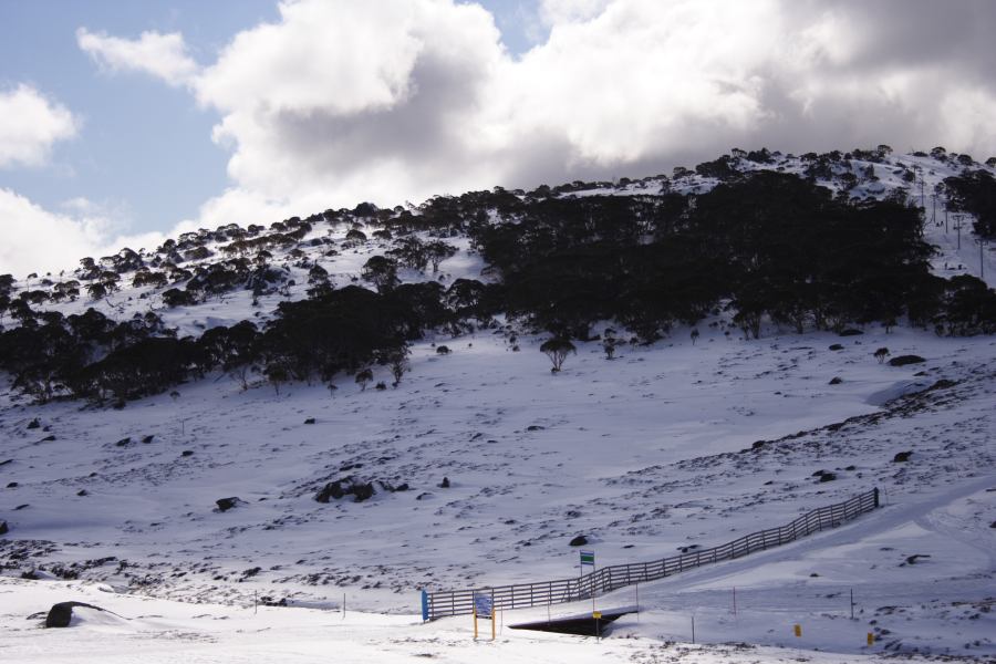 snow snow_pictures : Perisher Valley, NSW   20 August 2006