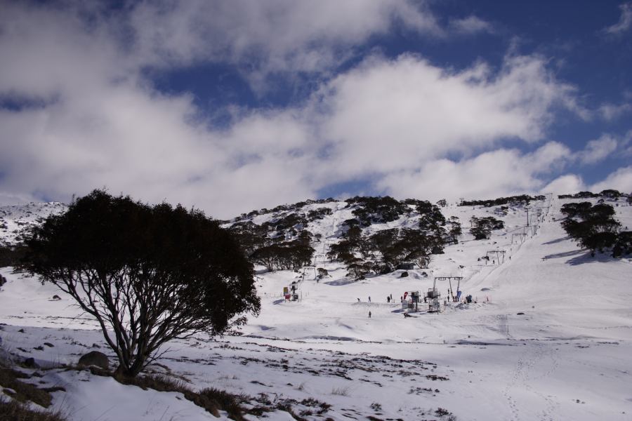 snow snow_pictures : Perisher Valley, NSW   20 August 2006