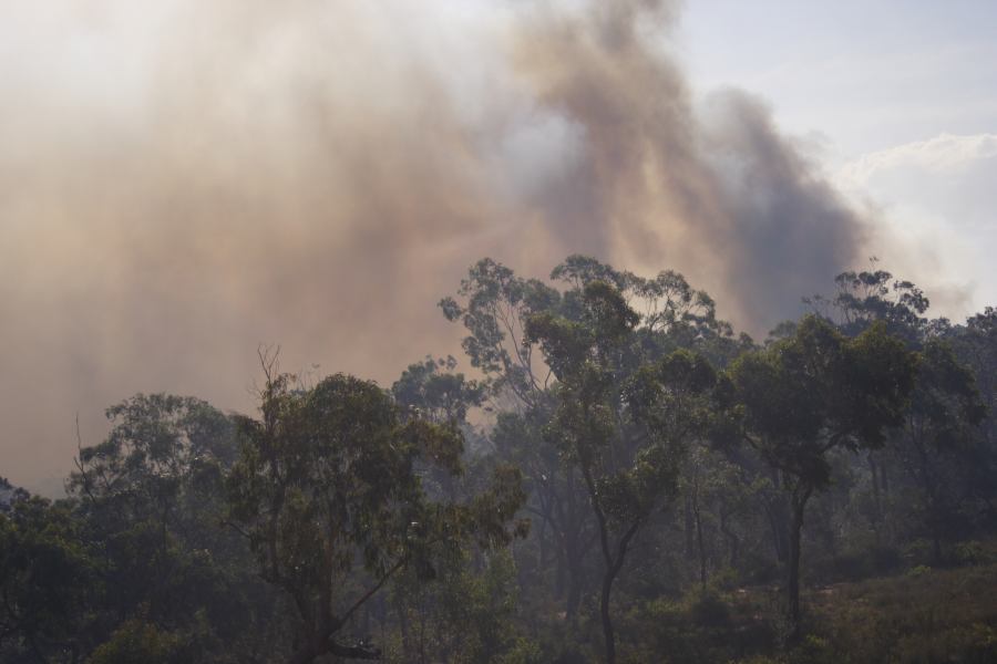 bushfire wild_fire : Pacific Park, NSW   24 September 2006