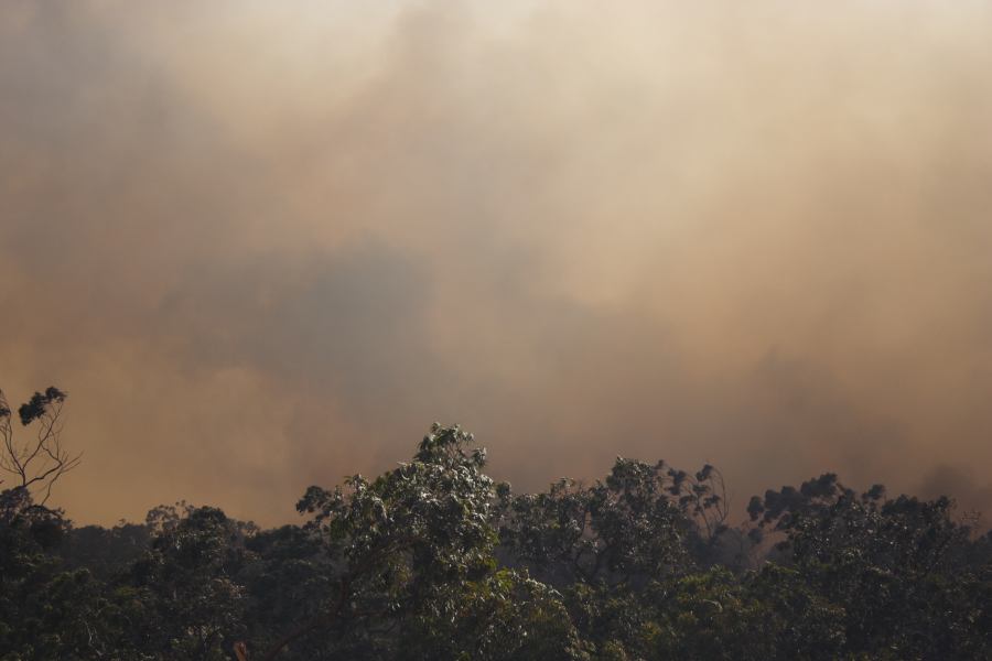 bushfire wild_fire : Pacific Park, NSW   24 September 2006