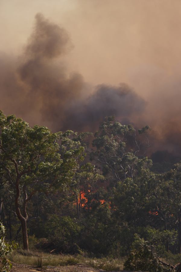 bushfire wild_fire : Pacific Park, NSW   24 September 2006