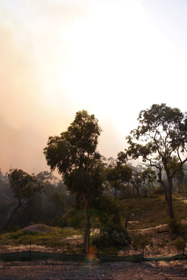 bushfire wild_fire : Pacific Park, NSW   24 September 2006