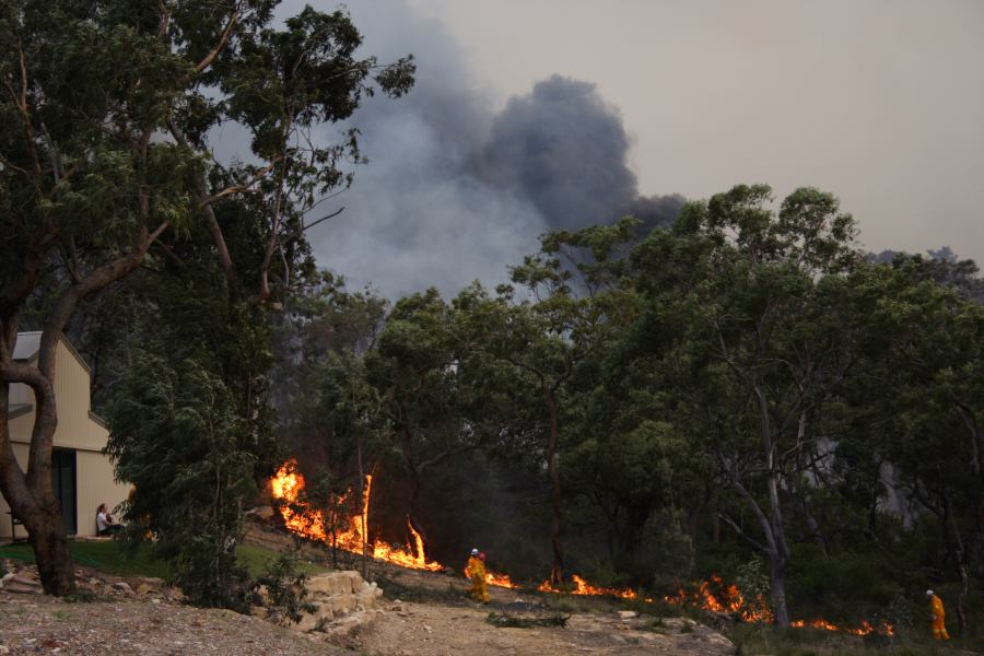 bushfire wild_fire : Pacific Park, NSW   24 September 2006