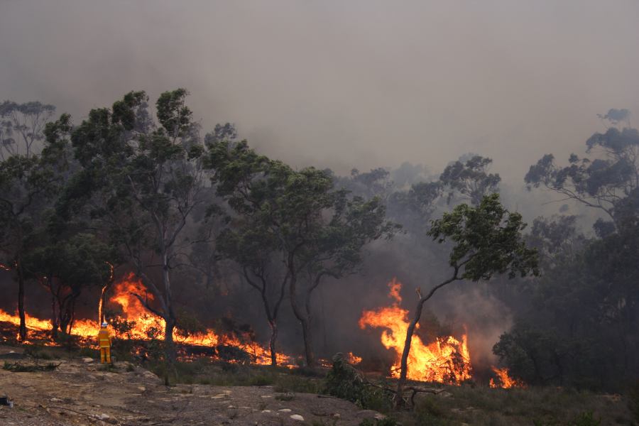 bushfire wild_fire : Pacific Park, NSW   24 September 2006