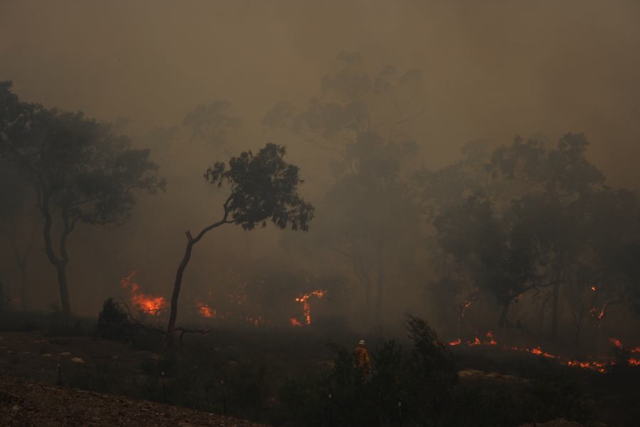 bushfire wild_fire : Pacific Park, NSW   24 September 2006