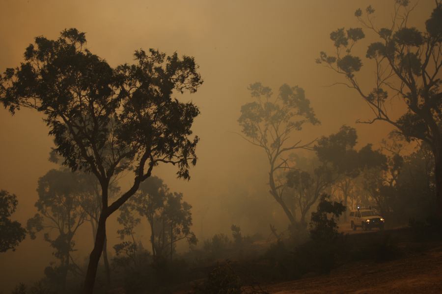 bushfire wild_fire : Pacific Park, NSW   24 September 2006