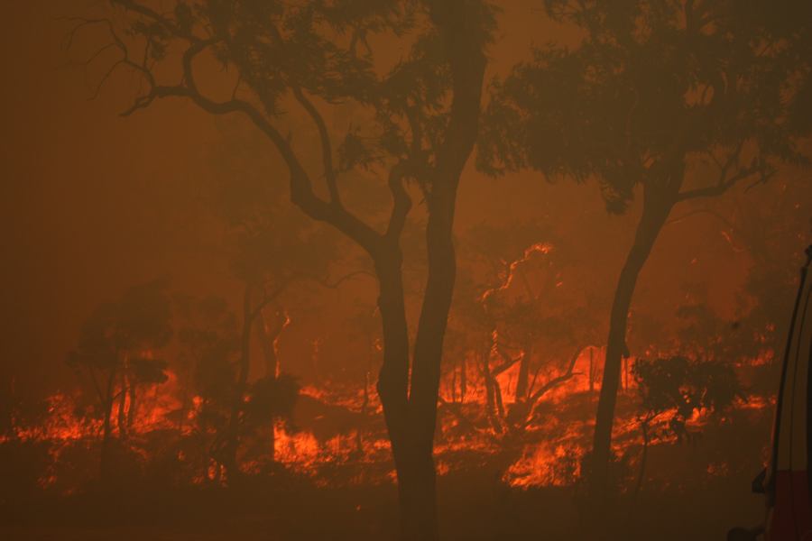 bushfire wild_fire : Pacific Park, NSW   24 September 2006