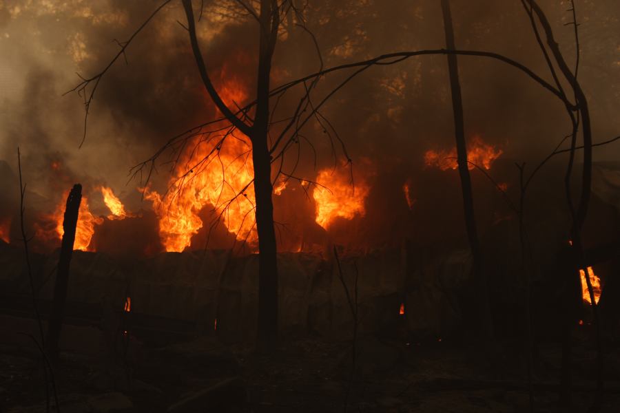 bushfire wild_fire : Pacific Park, NSW   24 September 2006