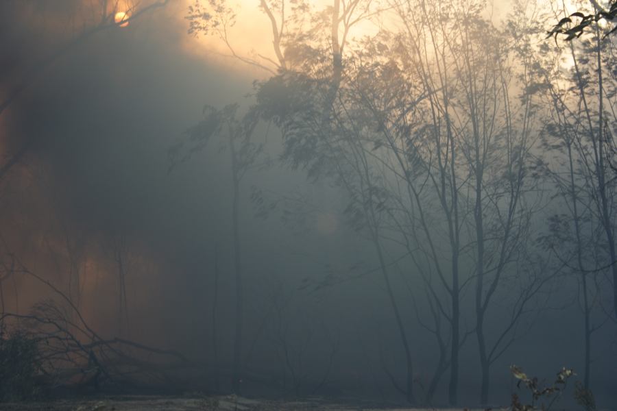 bushfire wild_fire : Pacific Park, NSW   24 September 2006