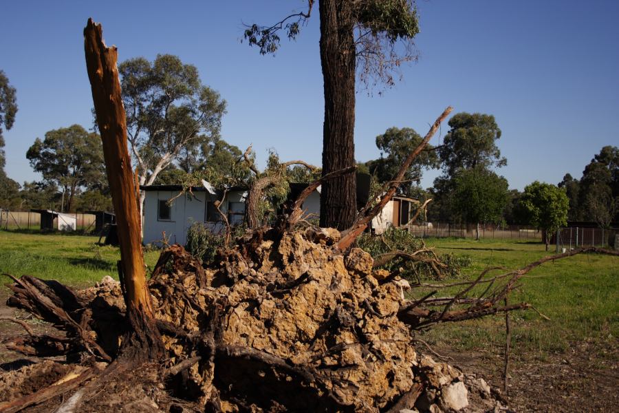 disasters storm_damage : Londonderry, NSW   25 September 2006