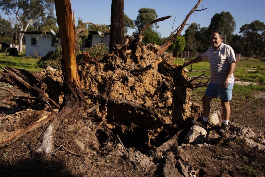 disasters storm_damage : Londonderry, NSW   25 September 2006