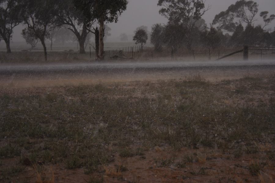 hailstones hail_stones : Walcha, NSW   19 October 2006