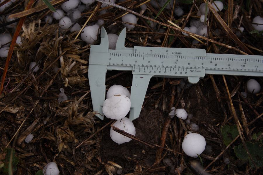 hailstones hail_stones : Walcha, NSW   19 October 2006