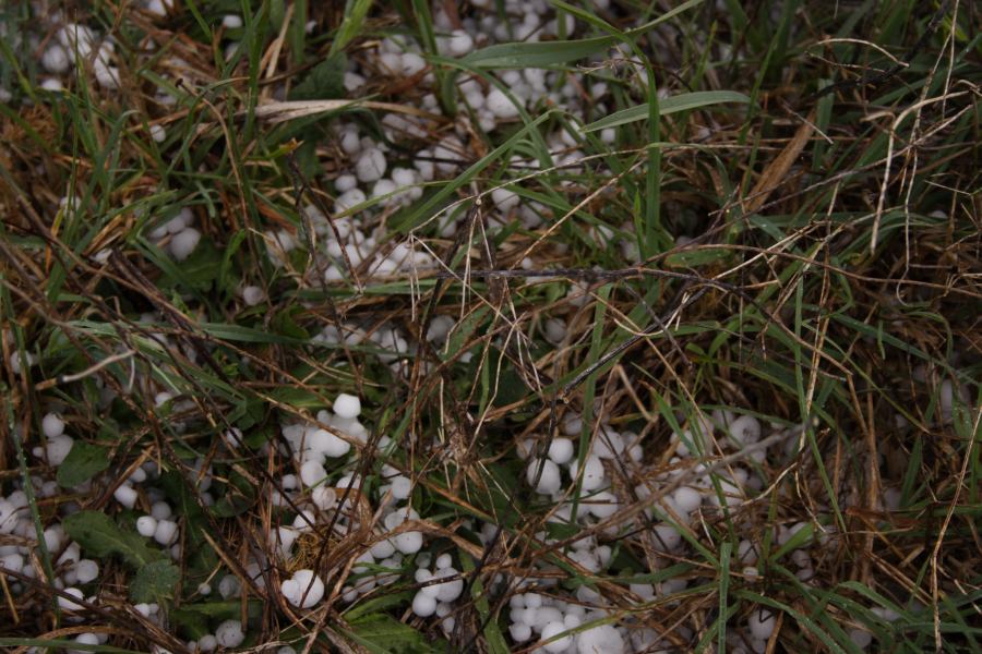 hailstones hail_stones : Walcha, NSW   19 October 2006