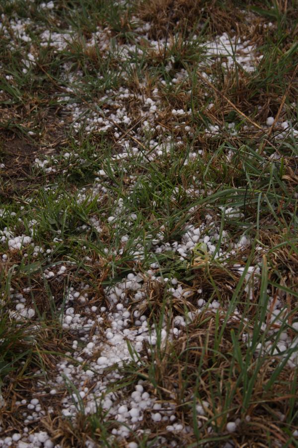 hailstones hail_stones : Walcha, NSW   19 October 2006