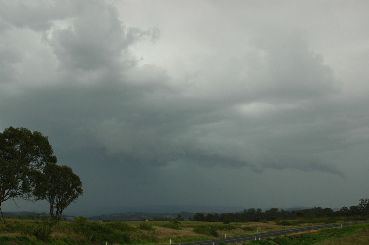 cumulonimbus thunderstorm_base : Mummulgum, NSW   19 October 2006