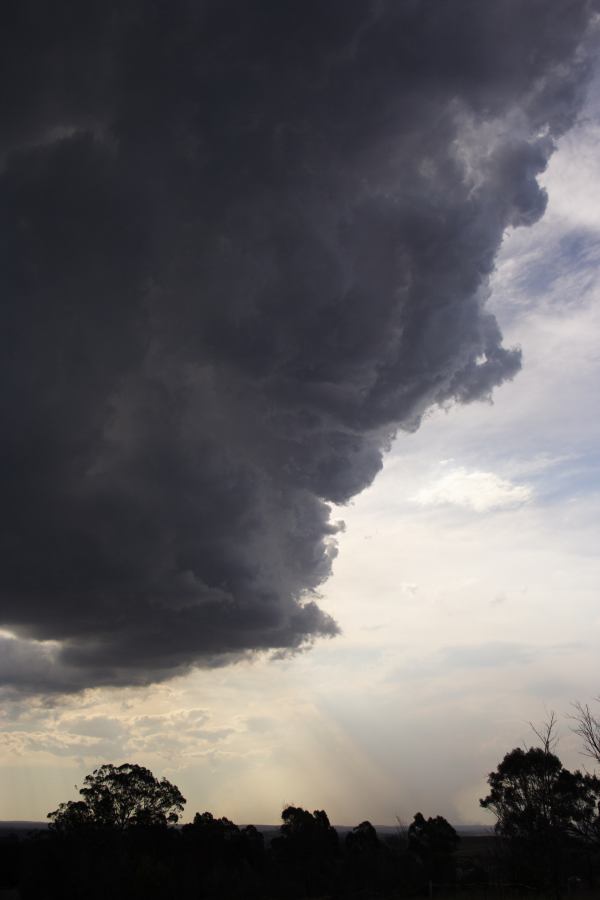 cumulonimbus thunderstorm_base : near Picton, NSW   31 October 2006