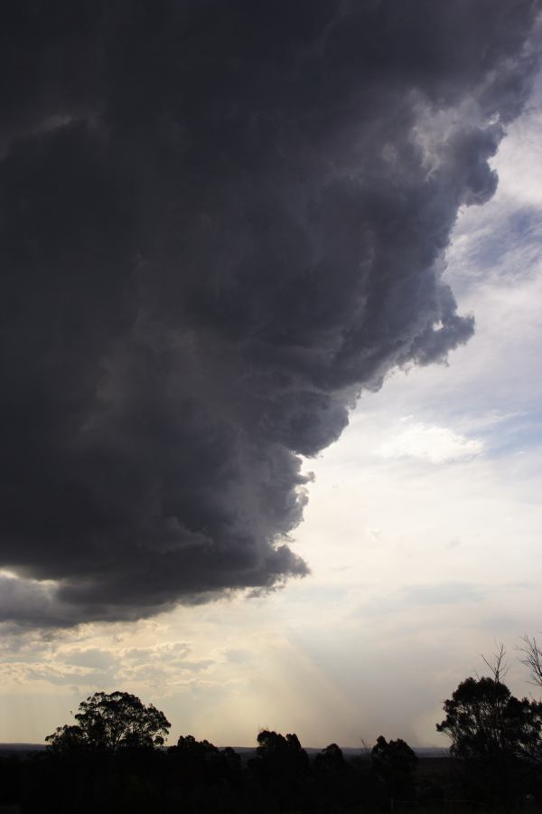 cumulonimbus thunderstorm_base : near Picton, NSW   31 October 2006