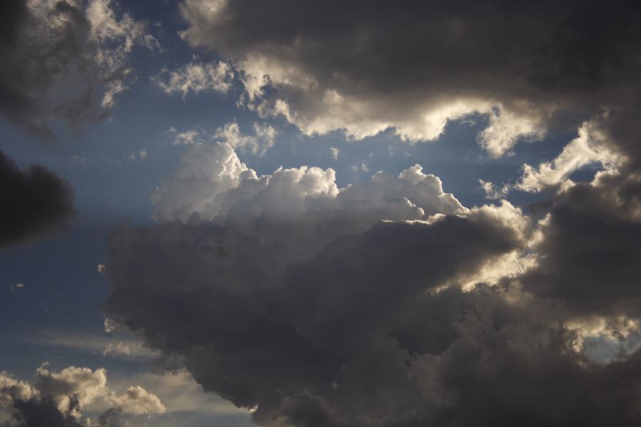 cumulus congestus : near Picton, NSW   31 October 2006