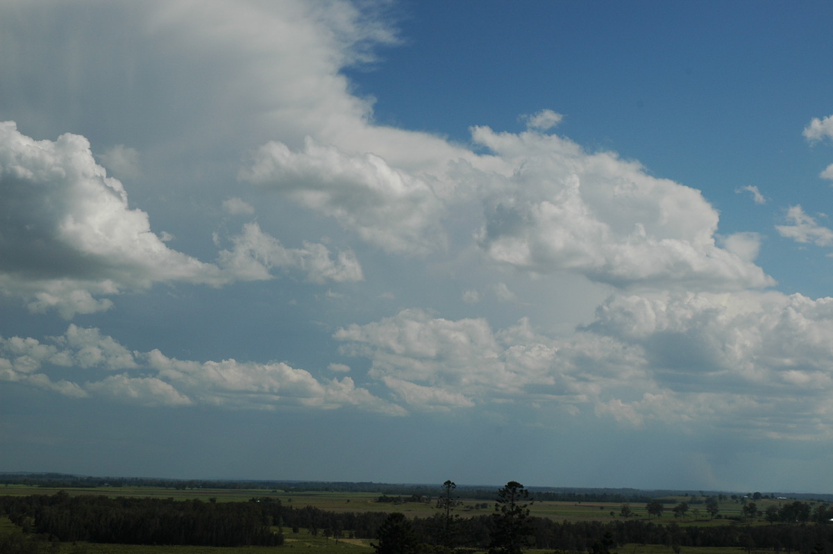 cumulus humilis : Parrots Nest, NSW   1 November 2006