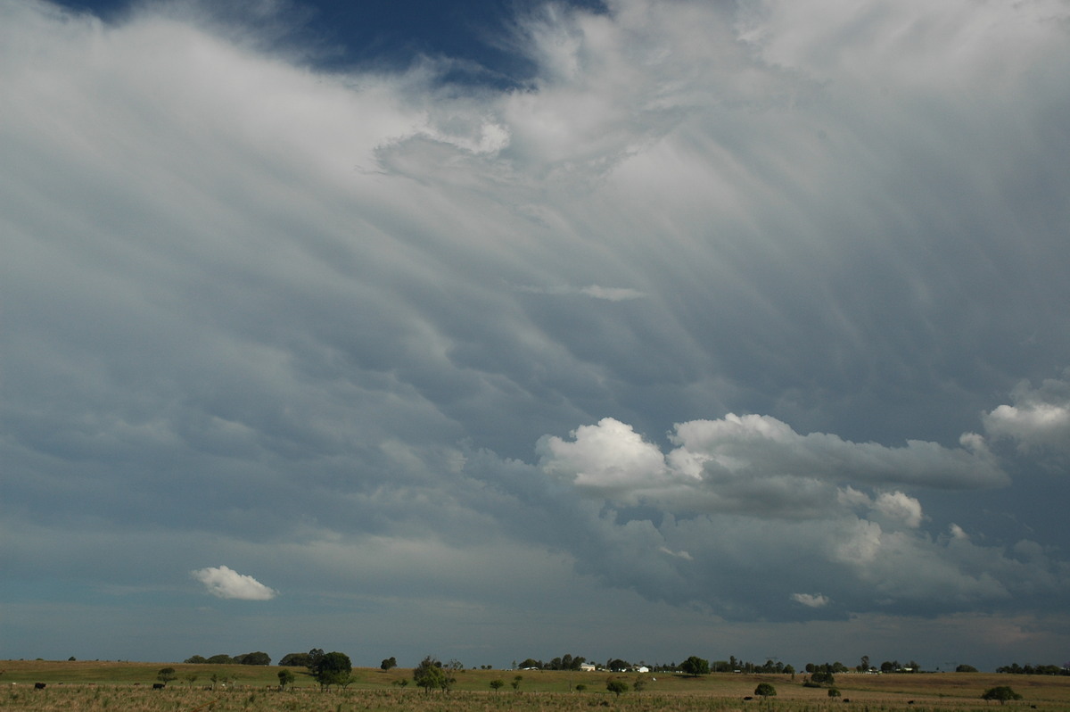 mammatus mammatus_cloud : McKees Hill, NSW   1 November 2006