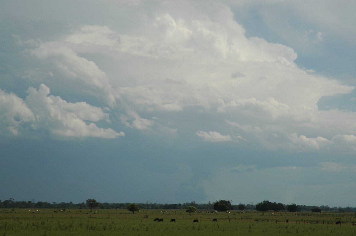 cumulonimbus thunderstorm_base : McKees Hill, NSW   1 November 2006