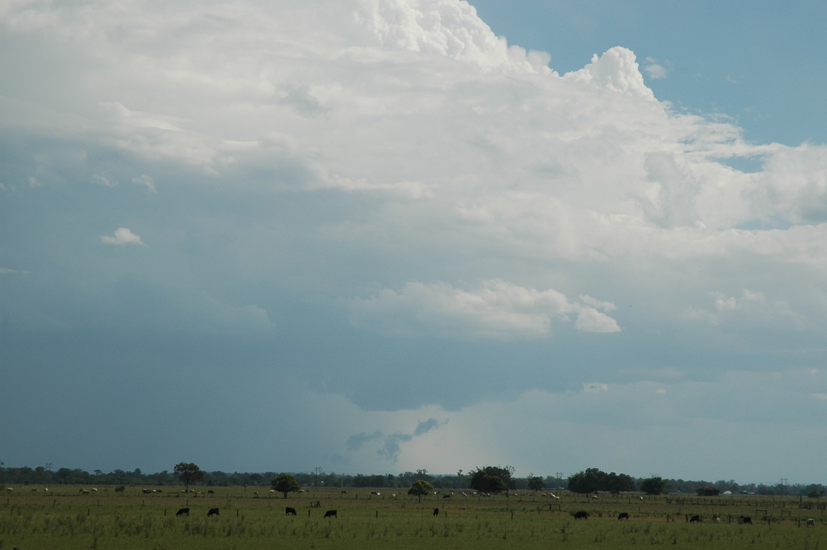 wallcloud thunderstorm_wall_cloud : McKees Hill, NSW   1 November 2006