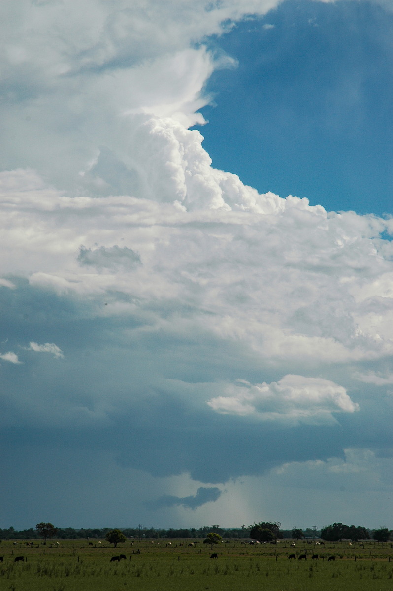 wallcloud thunderstorm_wall_cloud : McKees Hill, NSW   1 November 2006