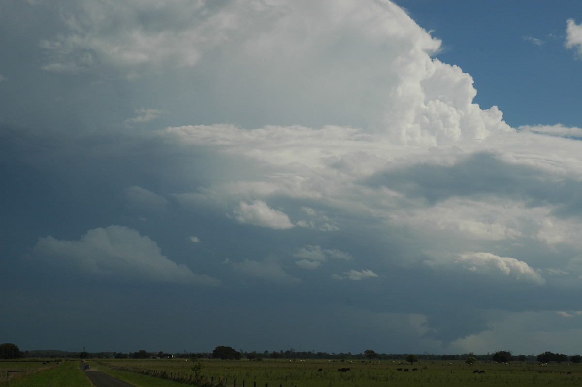 wallcloud thunderstorm_wall_cloud : McKees Hill, NSW   1 November 2006